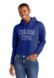 Collegiate Crop Sweatshirt Hoodie Online Sale