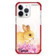 Bunny & Me iPhone 14 Pro Max MagSafe Compatible Ultra Shockproof Case Online Hot Sale