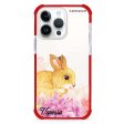 Bunny & Me iPhone 14 Pro Max Ultra Shockproof Case Online Hot Sale